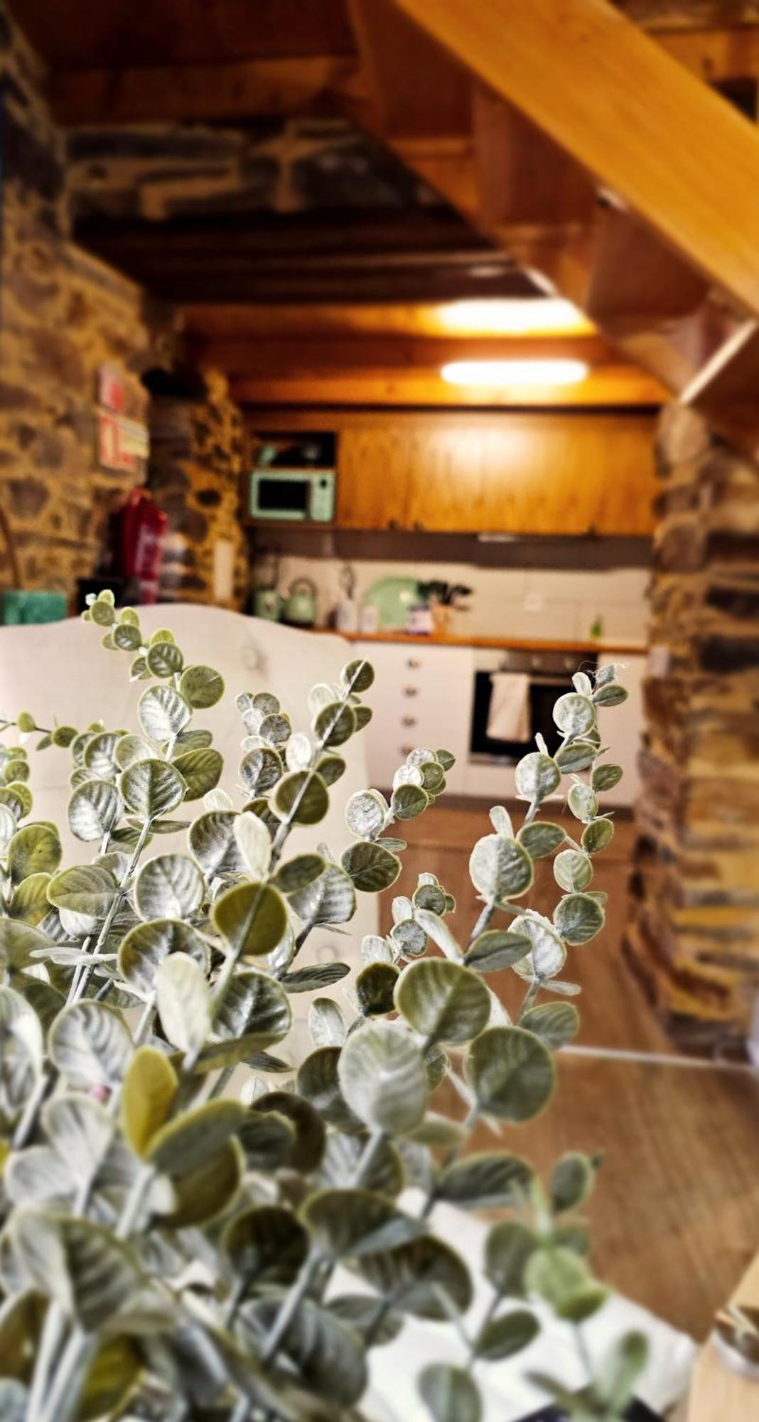 Pampihouse, Luxury Rustic House Near River 潘皮略萨迪塞拉 外观 照片